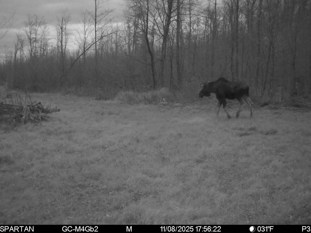 On County Road H, Radisson WI 54867 - Land house for sale - MLS #1603350 - image27