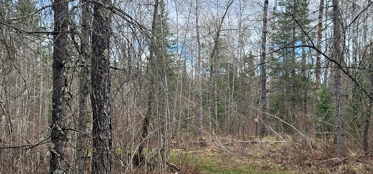 11553N County Highway A, Hayward WI 54843 - Land house for sale - MLS #1602465 - image2