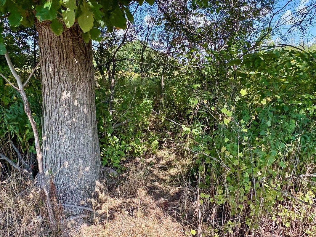 W16860 Cty Rd D, Sheldon WI 54766 - Land house for sale - MLS #1604631 - image38