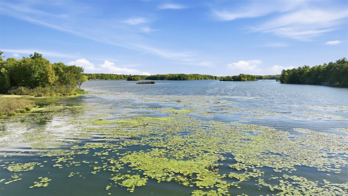 Lot 2 Sugar Bay Road, Chetek WI 54728 - Land house for sale - MLS #1605220 - image12