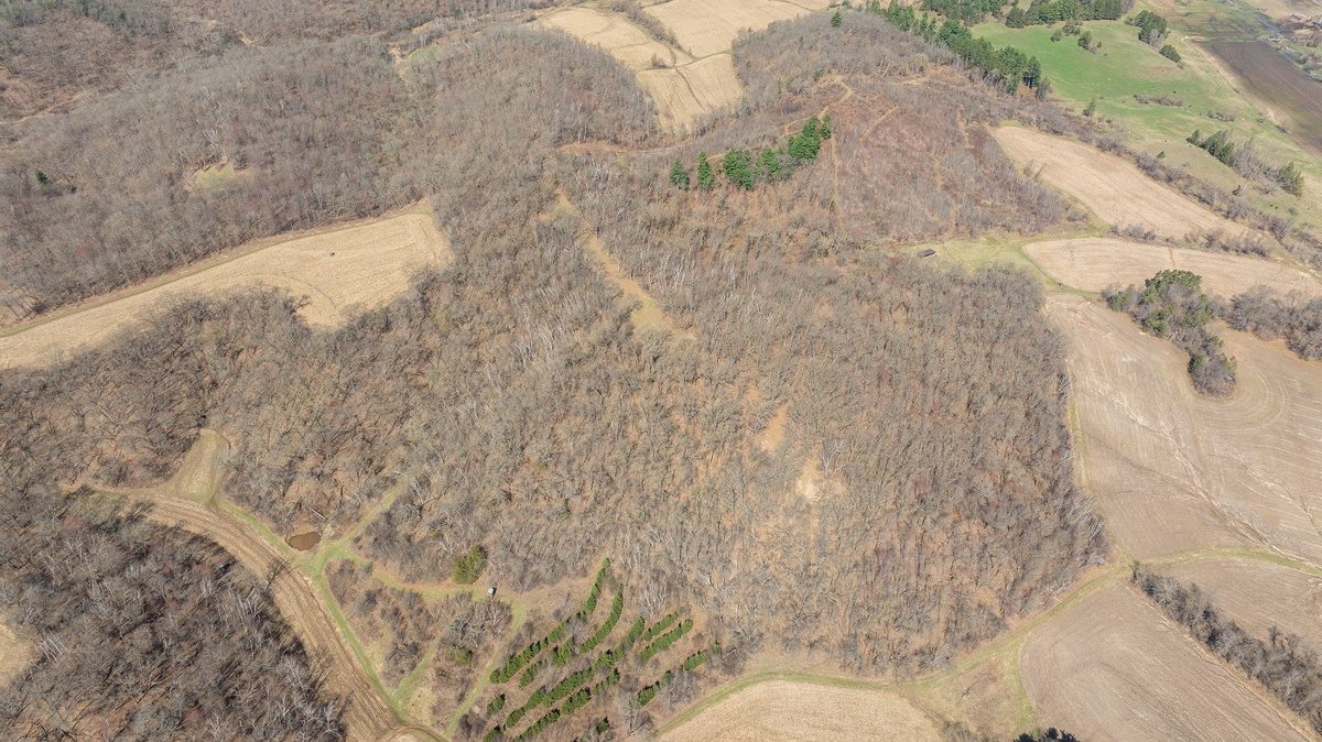 0 County Road S Blair WI 54616 — photo 30
