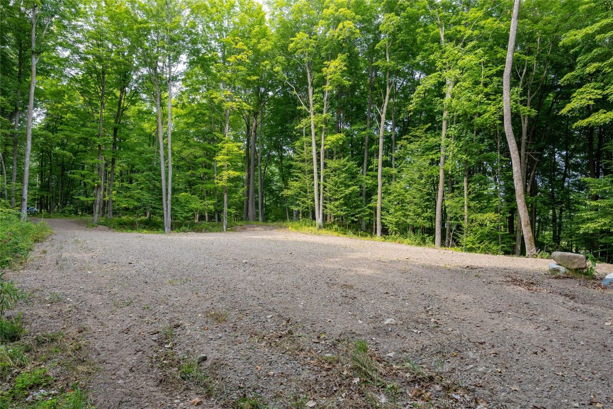 W5957 Happy Acres Road, Tony WI 54563 - Land house for sale - MLS #1604243 - image9