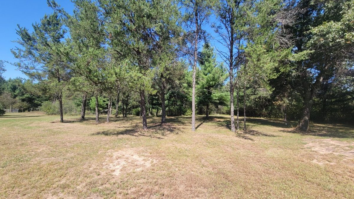 W10228 Vaudreuil Road, Black River Falls WI 54615 - Residential house for sale - MLS #1605097 - image5