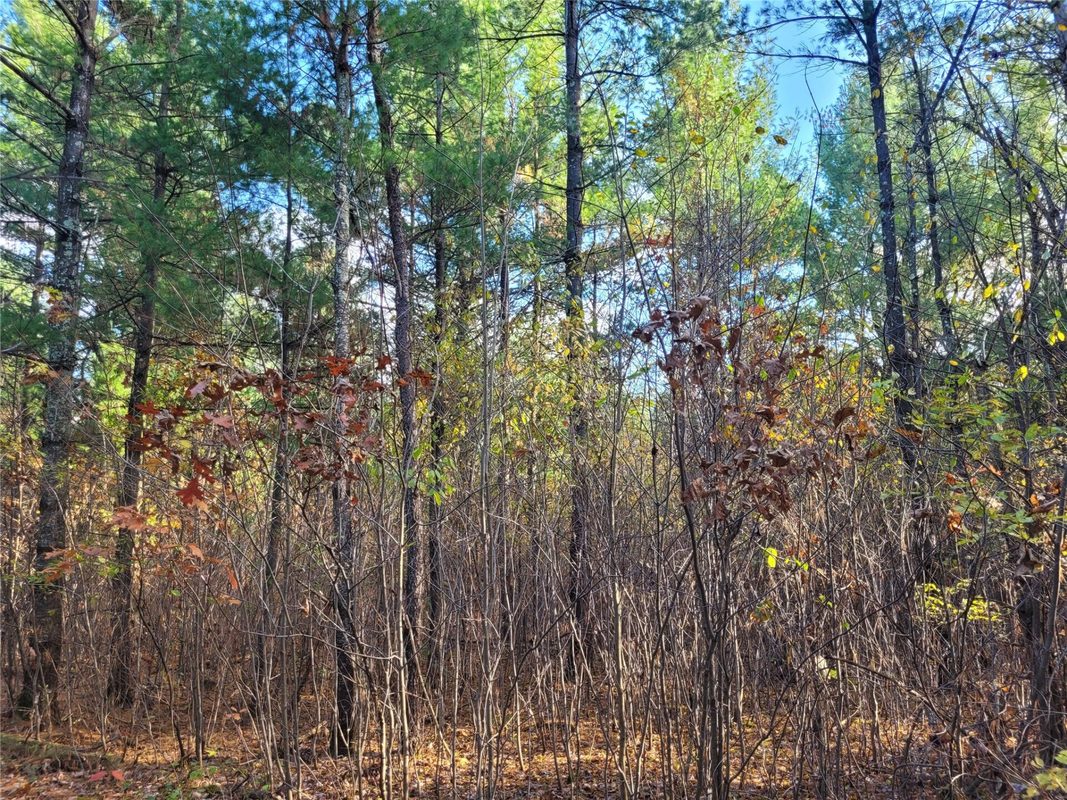 N10835 Kovar Road, Merrillan WI 54741 - Land house for sale - MLS #1606219 - image25