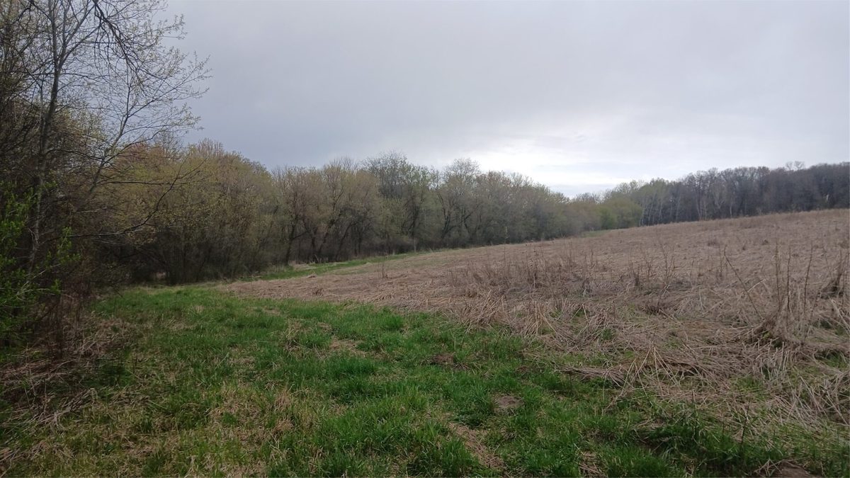 62 Acres 82nd St, Bloomer, WI — photo 10