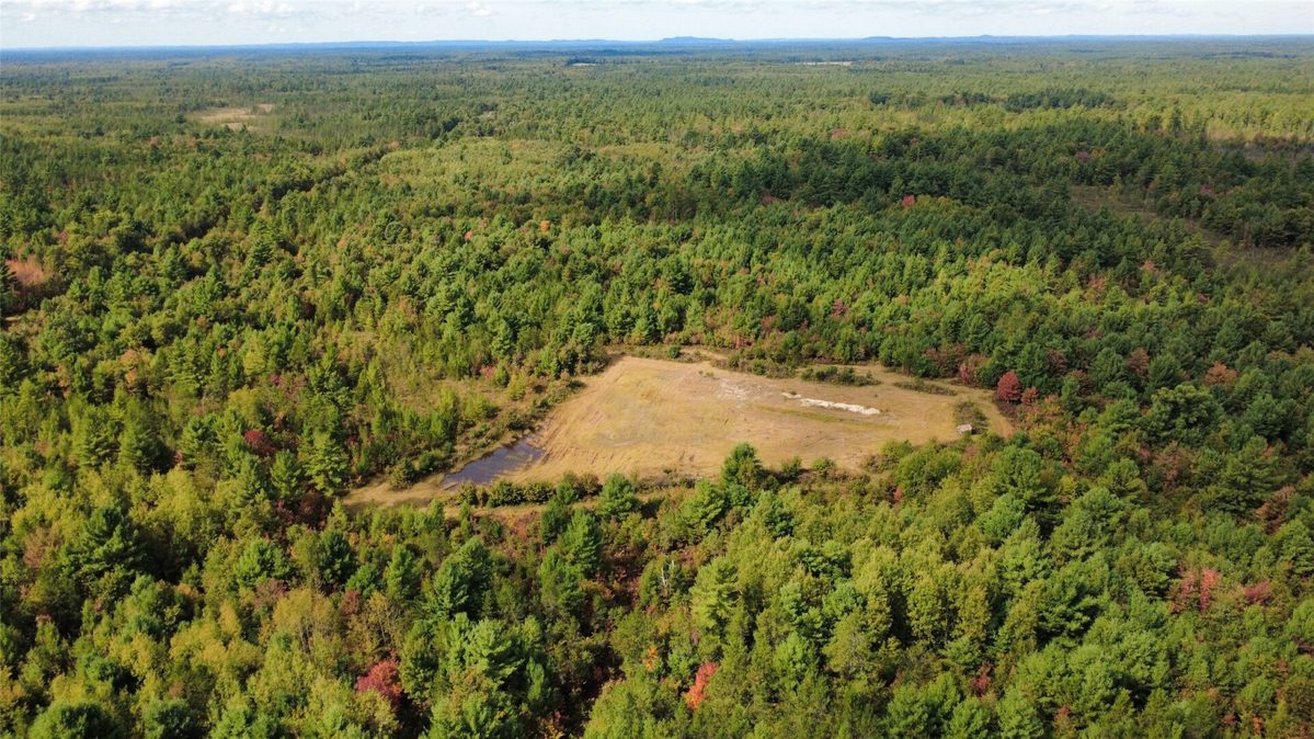 W4199 Ballard Road, Neillsville WI 54456 - Land house for sale - MLS #1605652 - image10