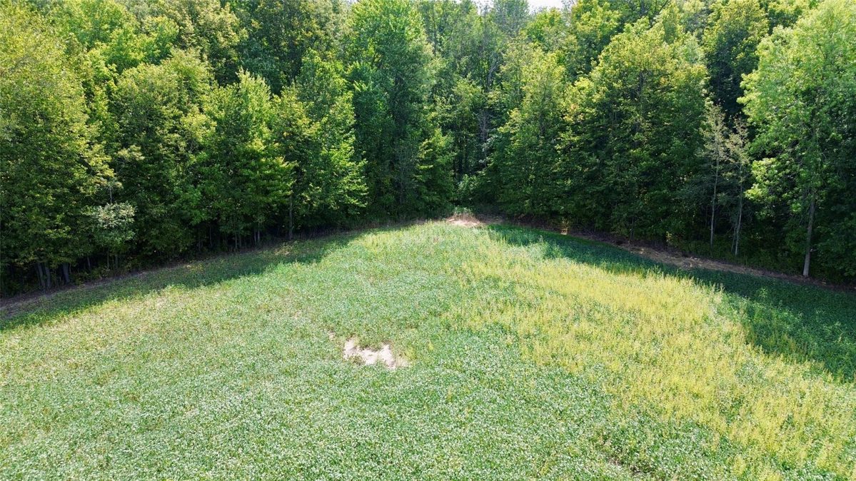 W16860 Cty Rd D, Sheldon WI 54766 - Land house for sale - MLS #1604631 - image10