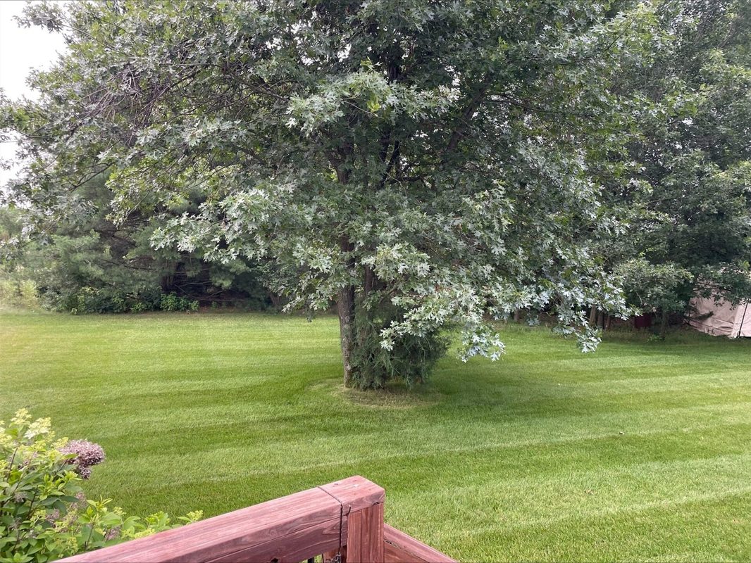 Residential at E3547 Pine Creek Road, Eleva, WI 54738 — photo 40