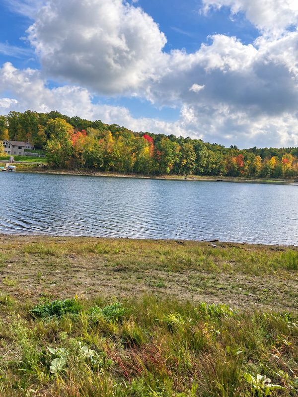 N2635 County Road T #203, Birchwood WI 54817 - Land house for sale - MLS #1605530 - image23