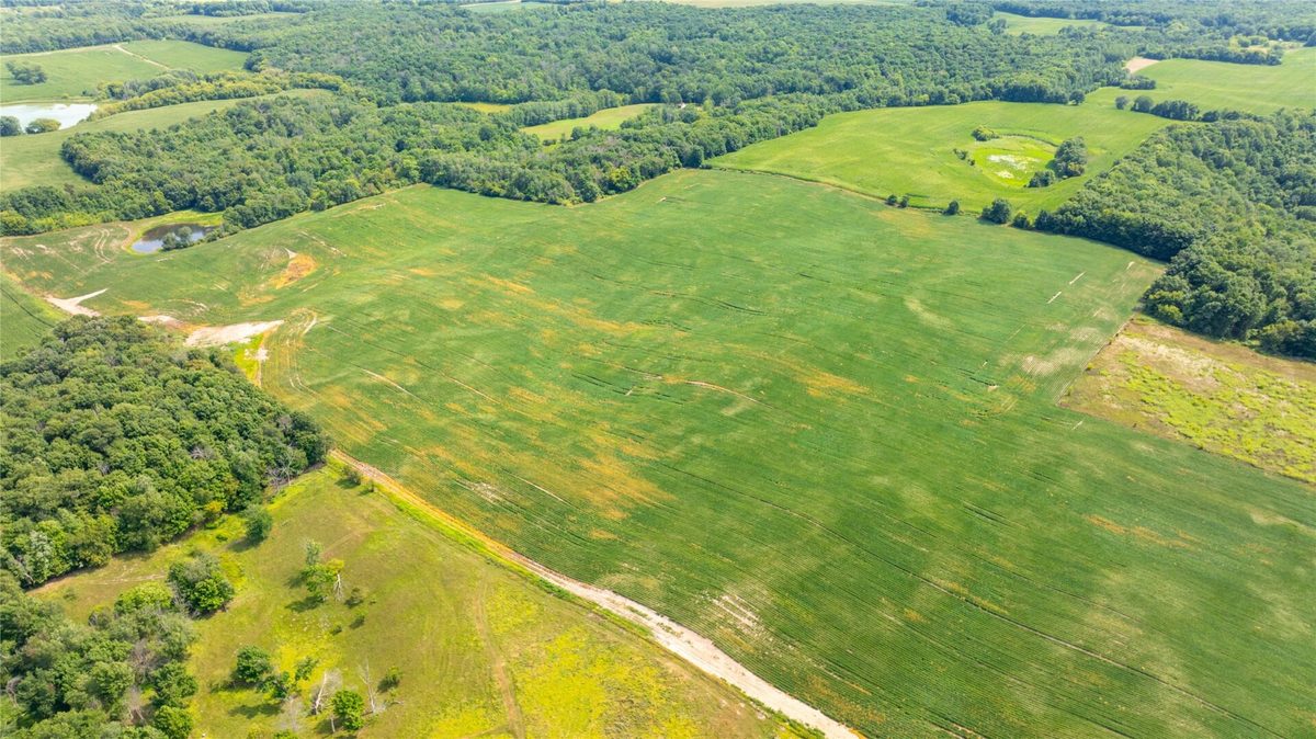 XXXX 190th Street, Centuria WI 54824 - Land house for sale - MLS #1605124 - image13