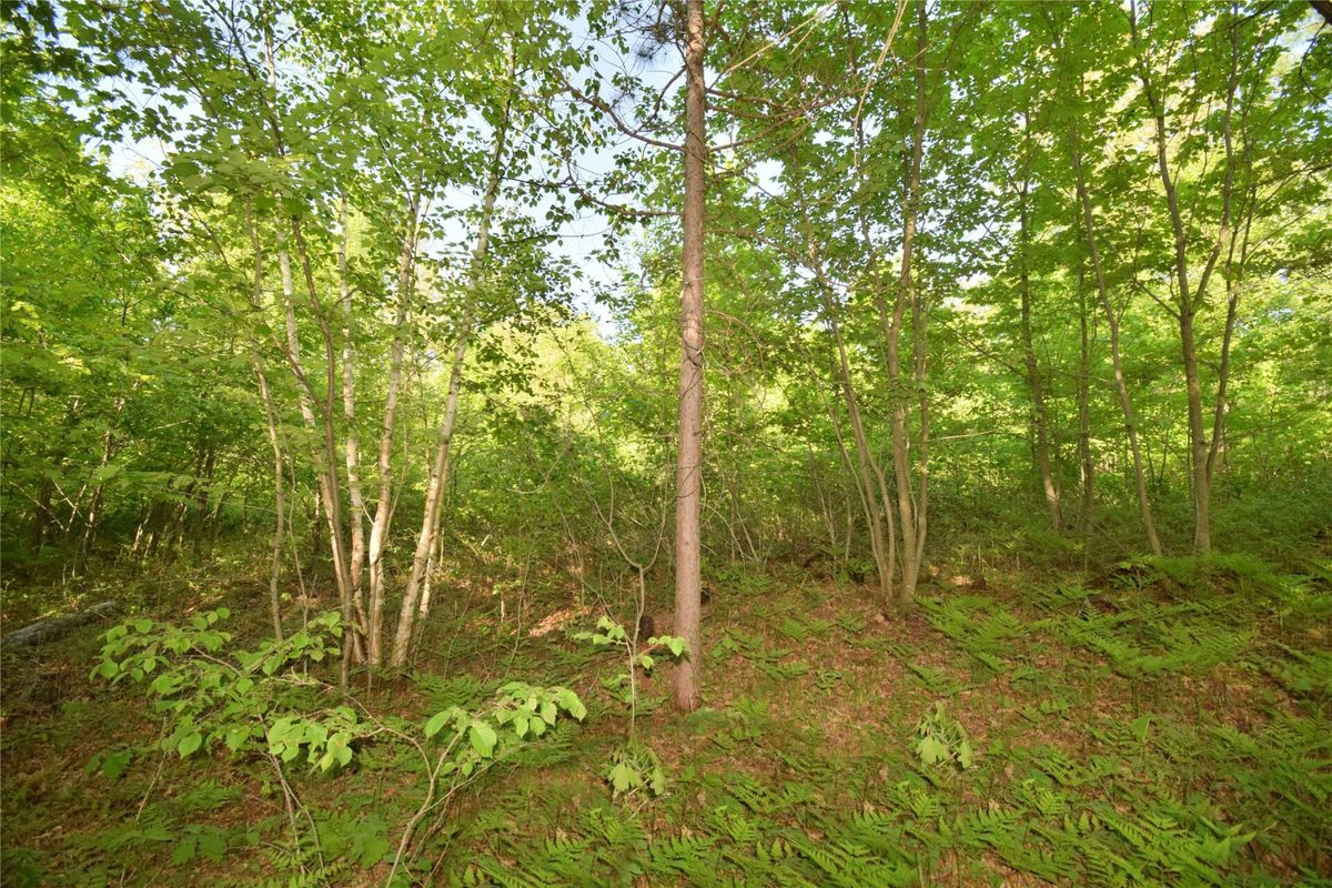 Lot 106 Setting Sun Court, Danbury WI 54830 - Land house for sale - MLS #1601808 - image15