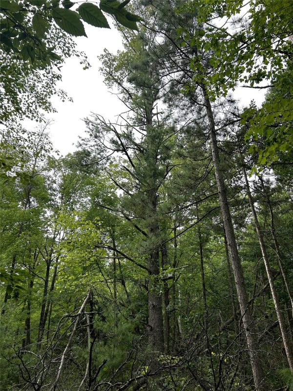 Lots 5 & 6 State Highway 70, Spooner WI 54801 - Land house for sale - MLS #1604806 - image50