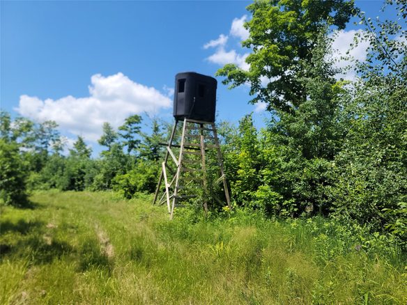 On County Road H, Radisson WI 54867 - Land house for sale - MLS #1603350 - image1