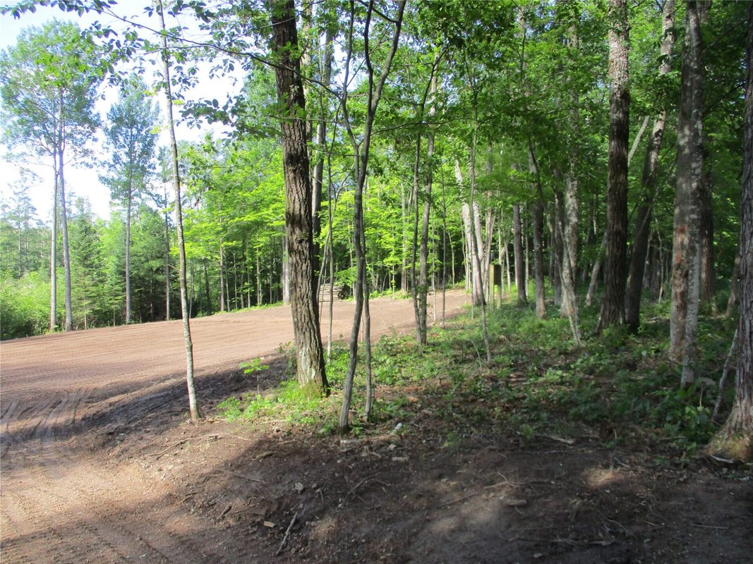 2863 Independence Way & 29 9/16 Avenue, Birchwood WI 54817 - Land house for sale - MLS #1601854 - image3