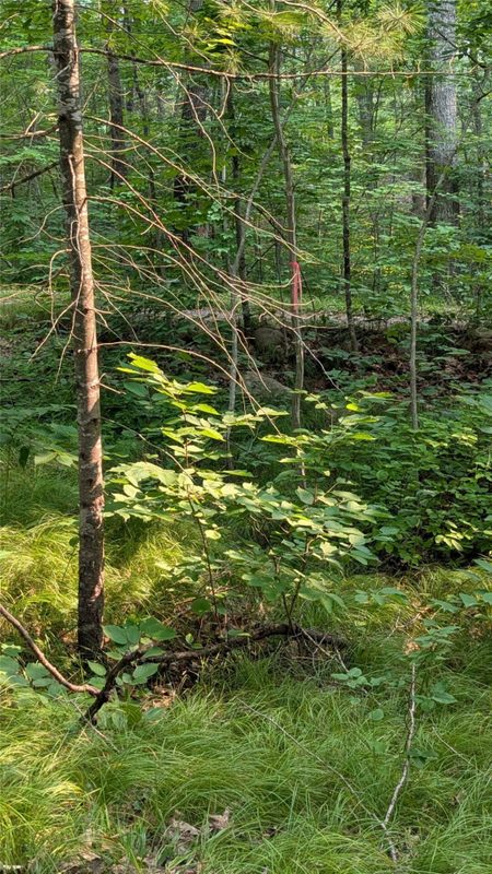 Lot 4 County Highway CC, Couderay WI 54828 - Land house for sale - MLS #1603366 - image10