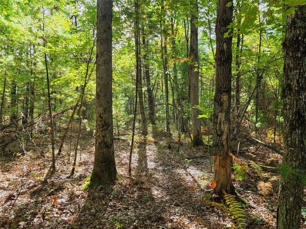 S10130 County Road H, Fairchild WI 54741 - Residential house for sale - MLS #1605513 - image35