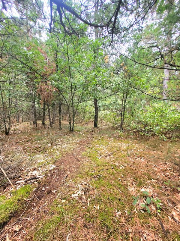 0 Blueberry Rd, Gordon WI 54838 - Land house for sale - MLS #1604990 - image12