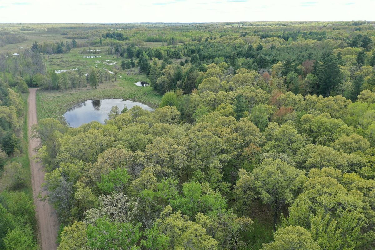 25275 Bruss Road, Webster WI 54893 - Land house for sale - MLS #1602158 - image29