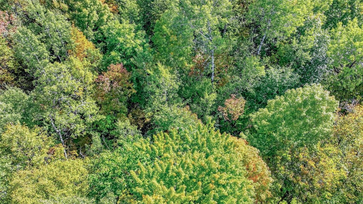 8087N Universal Drive, Winter WI 54896 - Land house for sale - MLS #1605404 - image16