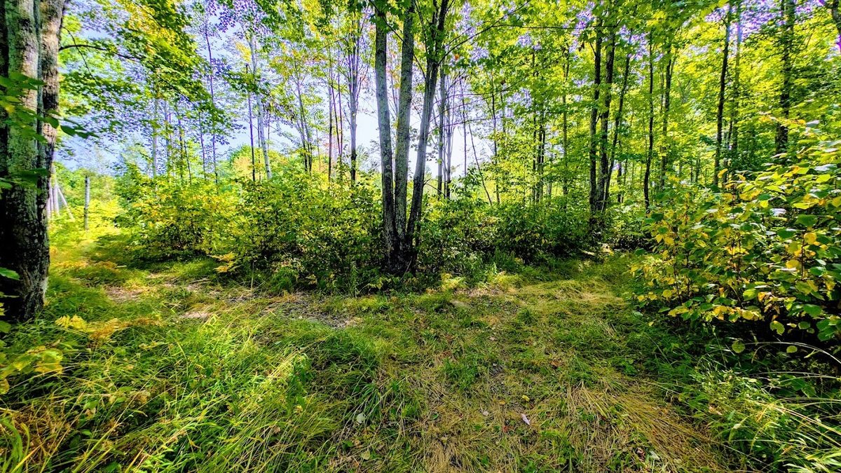 W8185 County Road J, Ladysmith WI 54848 - Land house for sale - MLS #1604406 - image37