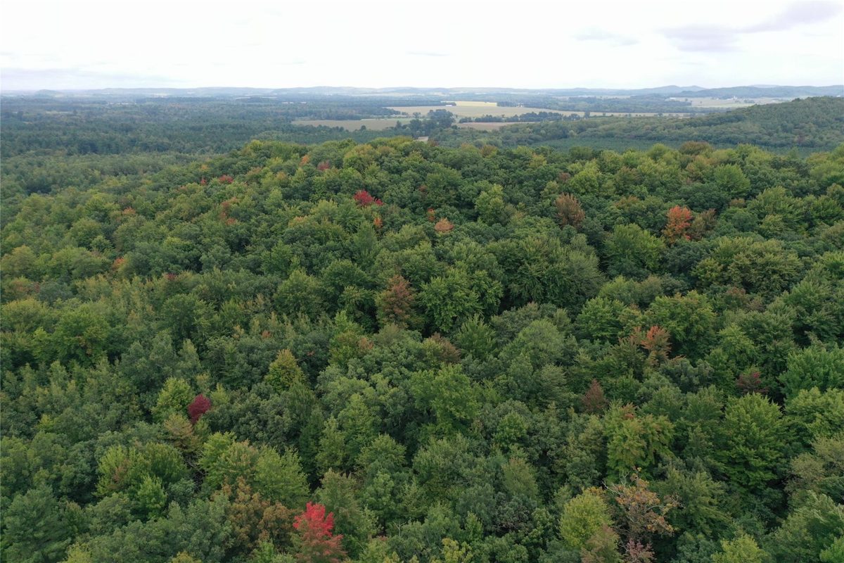 W02 State Highway 64, Colfax WI 54730 - Land house for sale - MLS #1604529 - image43