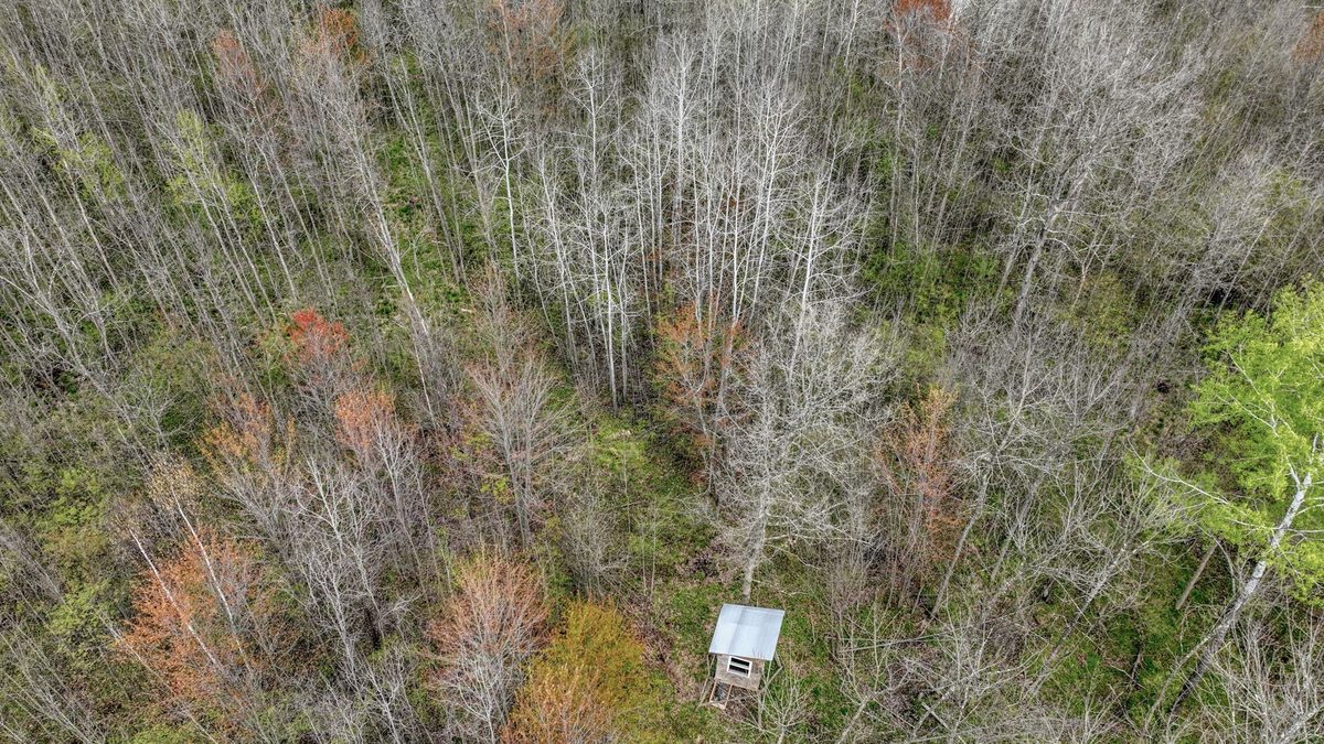 27.6 Acres off Helena Drive, Conrath WI 54731 - Land house for sale - MLS #1605499 - image6