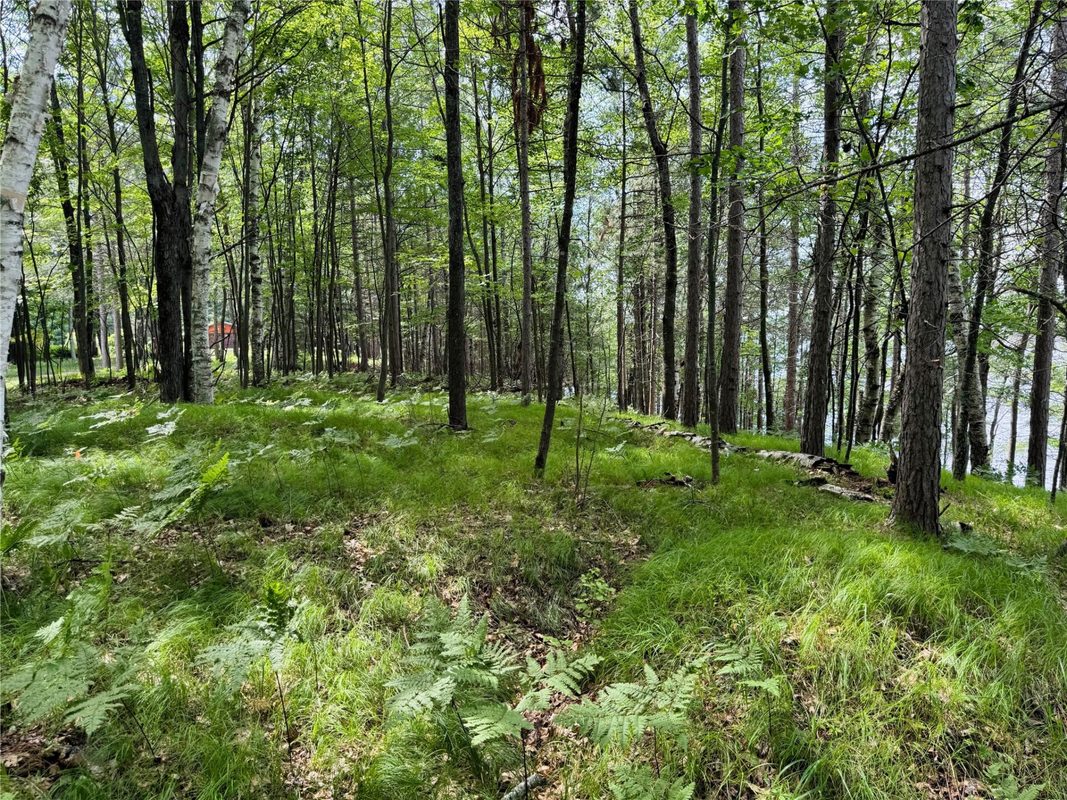 11149 Merganser Lane, Hayward WI 54843 - Land house for sale - MLS #1604672 - image45