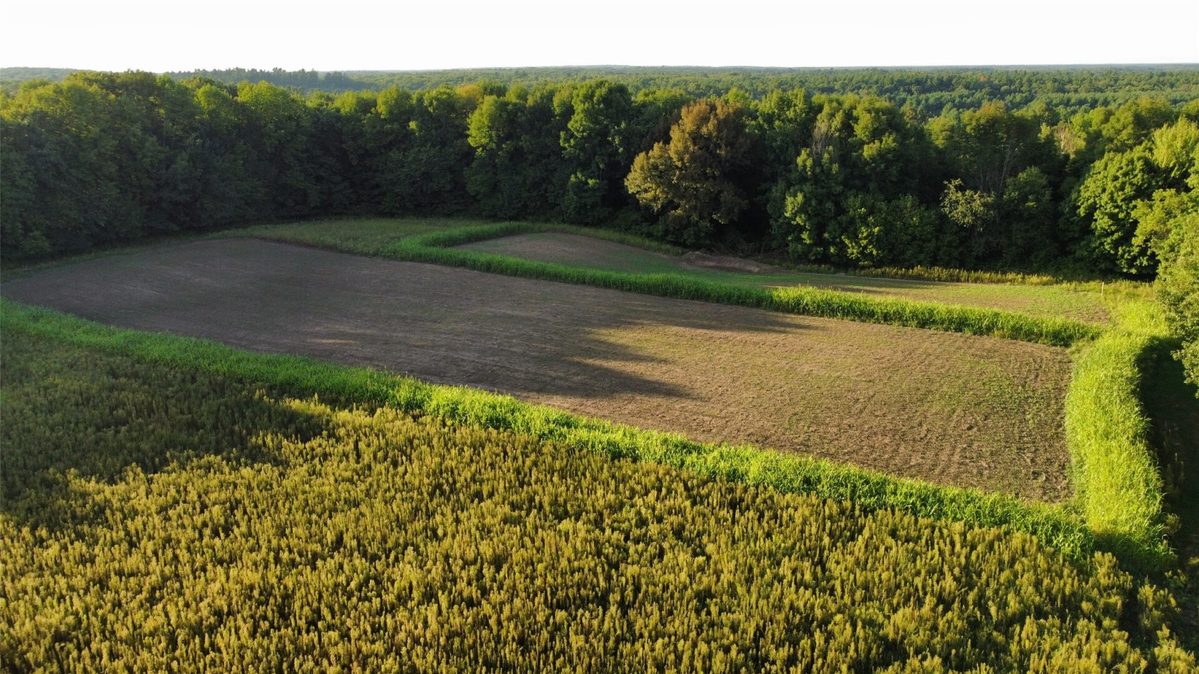 00 340th Avenue, Clam Falls WI 54837 - Land house for sale - MLS #1604779 - image15