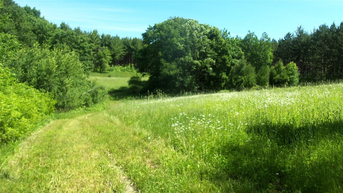 XXX Bashaw Store Road, Shell Lake WI 54871 - Land house for sale - MLS #1603494 - image20
