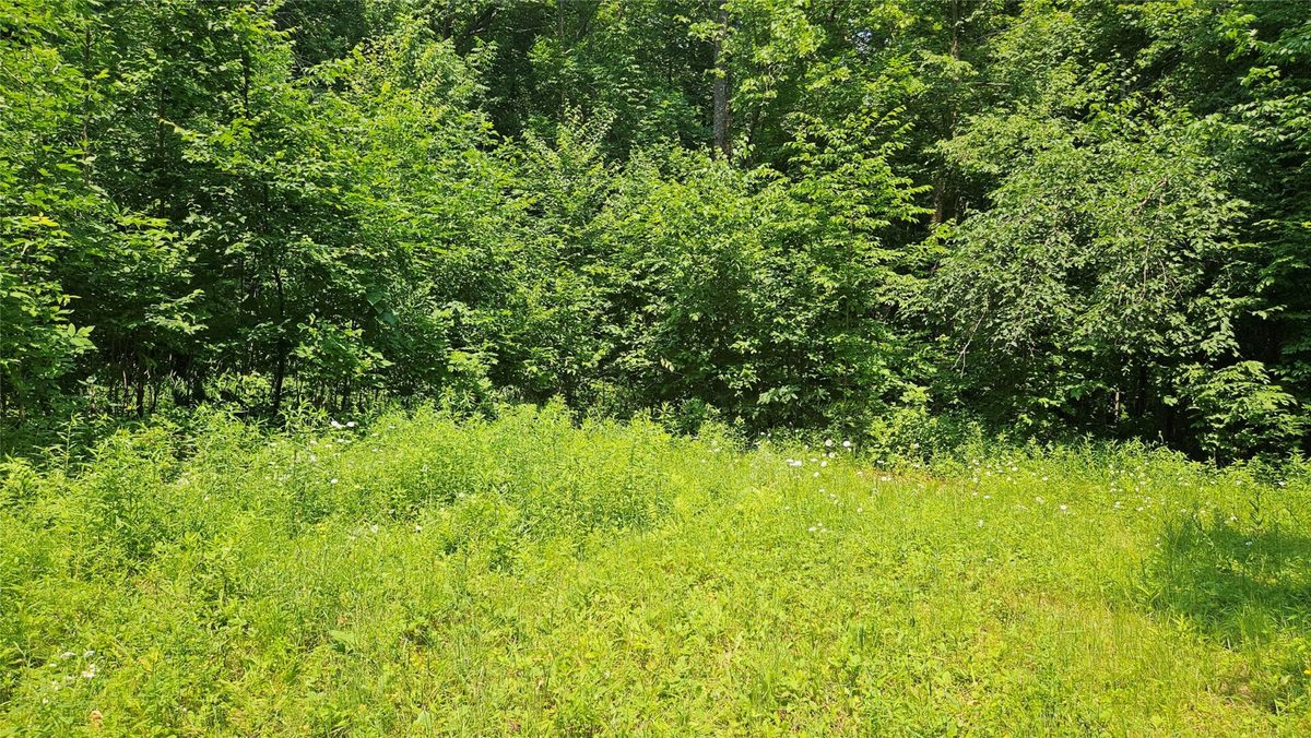 4687 Valesh Road, Couderay WI 54828 - Land house for sale - MLS #1602810 - image11
