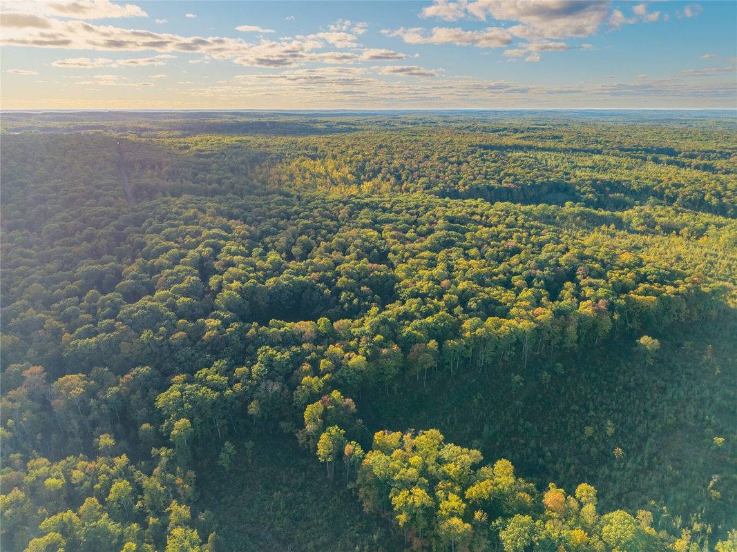 38.2 Acres Vierck Lane, Exeland WI 54835 - Land house for sale - MLS #1605286 - image7