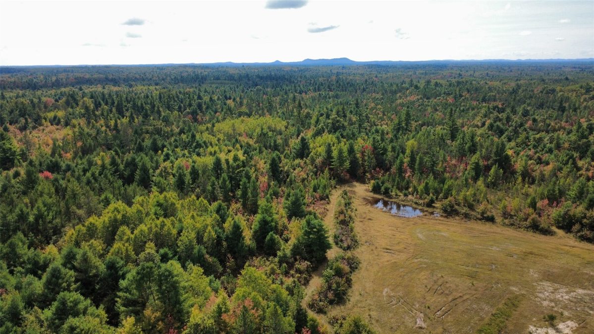 W4199 Ballard Road, Neillsville WI 54456 - Land house for sale - MLS #1605652 - image12
