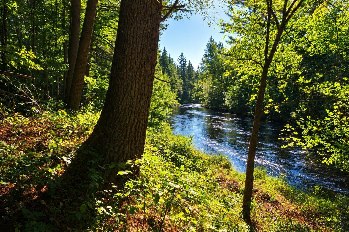 N9105 Flood -- Lot 5 Road, Black River Falls WI 54615 - Land house for sale - MLS #1605206 - image18