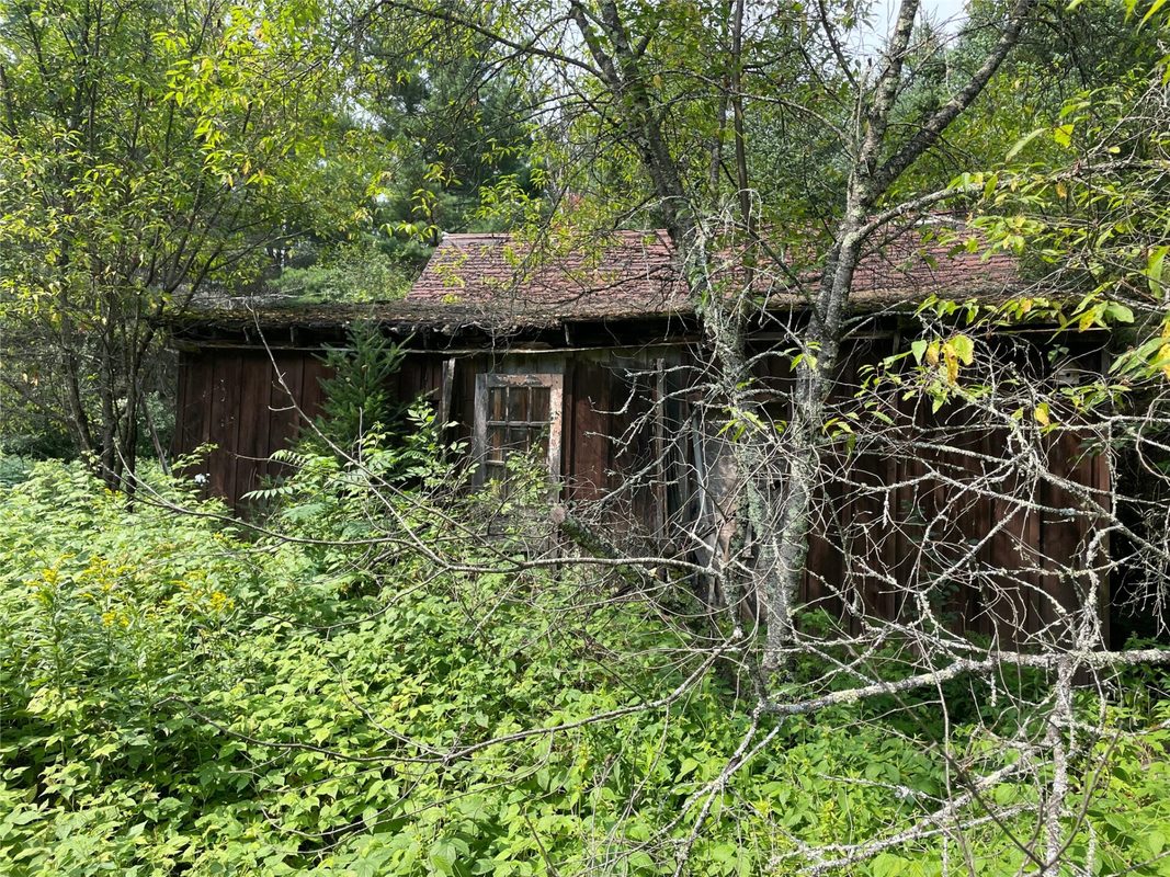 N14396 Krucky Road, Fifield WI 54524 - Land house for sale - MLS #1604496 - image13