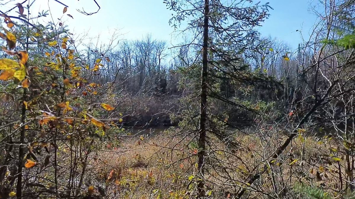 127XX State Highway 70, Couderay WI 54828 - Land house for sale - MLS #1606290 - image16