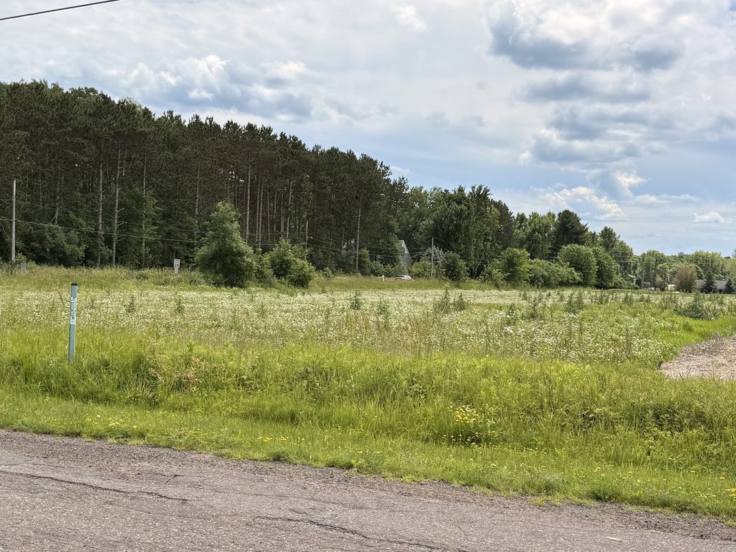 Lot 4 Main Street, Cadott WI 54727 - Land house for sale - MLS #1589807 - image2