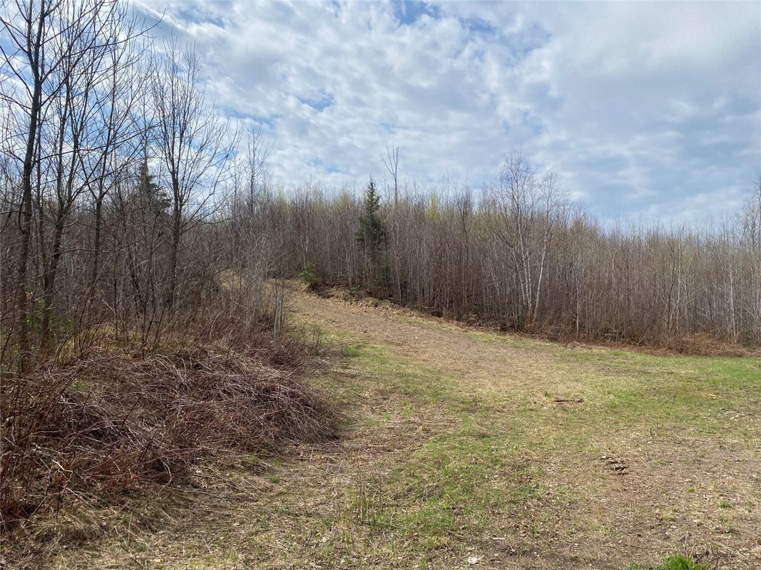 Near Wilson Lake Road Phillips WI 54555 — photo 3
