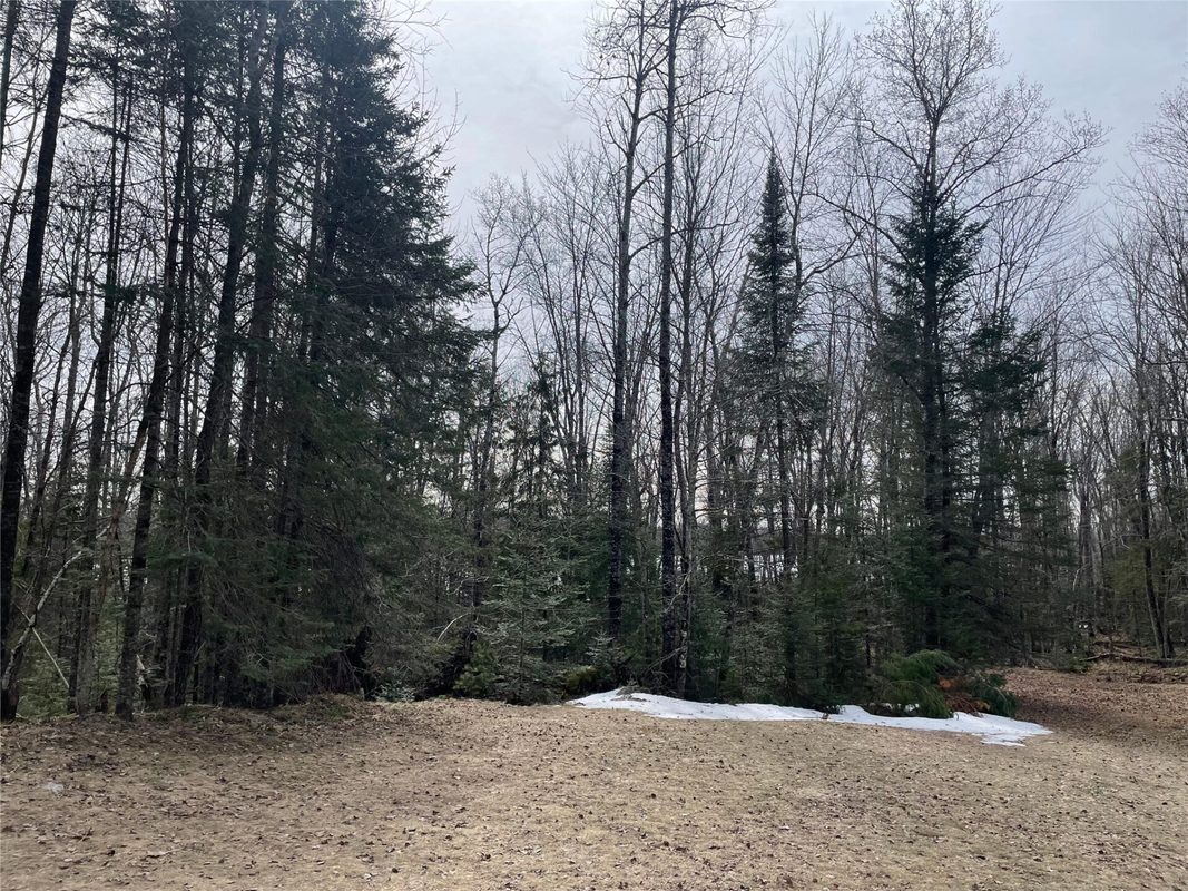 4091 W North Clover Road, Winter, WI — photo 31