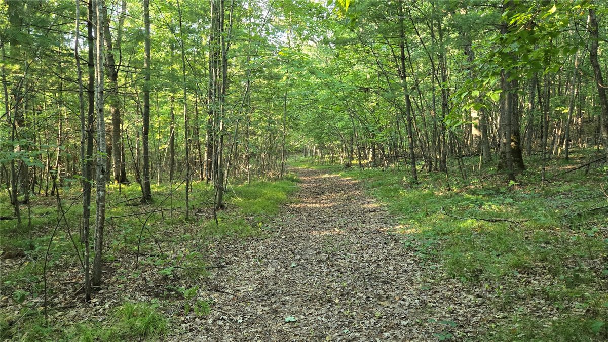 W02 State Highway 64, Colfax WI 54730 - Land house for sale - MLS #1604529 - image22