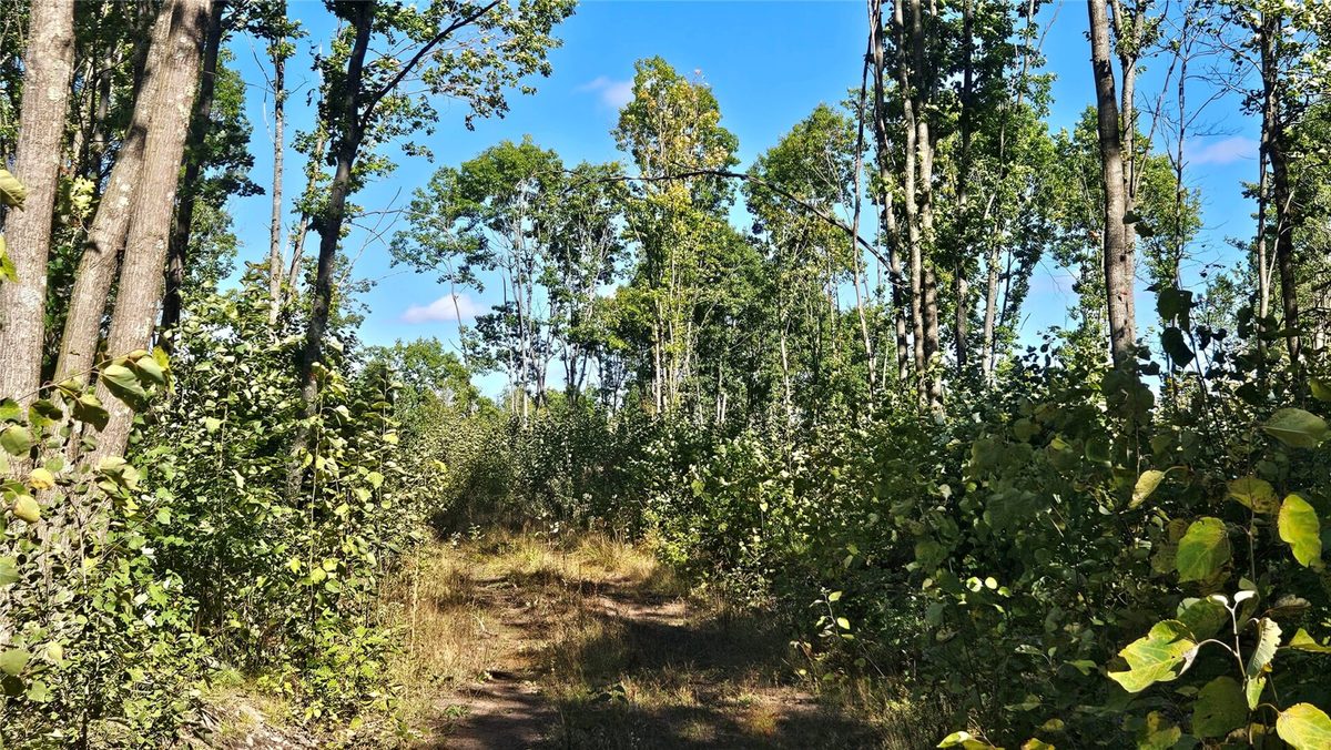 1-7 Larson Road, Hayward WI 54843 - Land house for sale - MLS #1605167 - image7