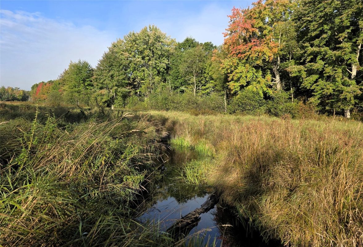 N 3368 Sawdust Rd., Bruce WI 54819 - Residential house for sale - MLS #1605552 - image39