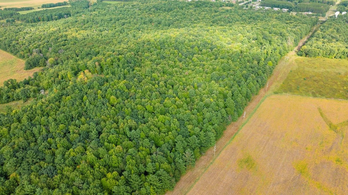 TBD 815th Avenue, Menomonie WI 54751 - Land house for sale - MLS #1605596 - image12