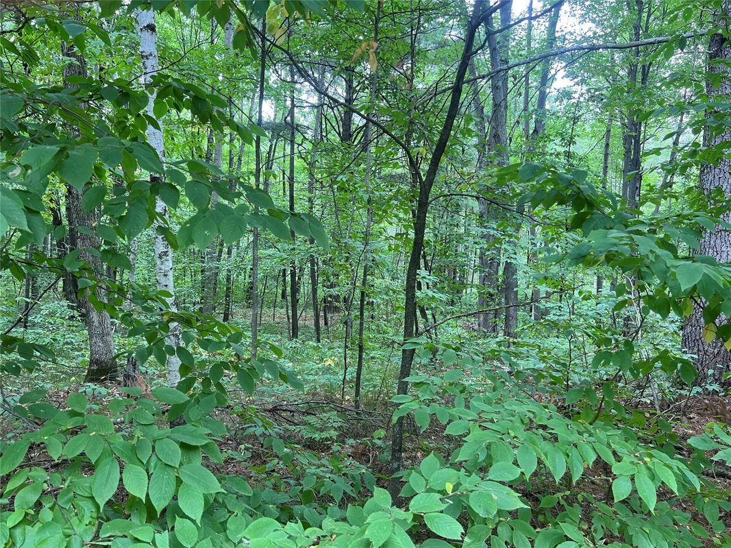 3801 Gaslyn Road, Webster WI 54893 - Residential house for sale - MLS #1604239 - image27