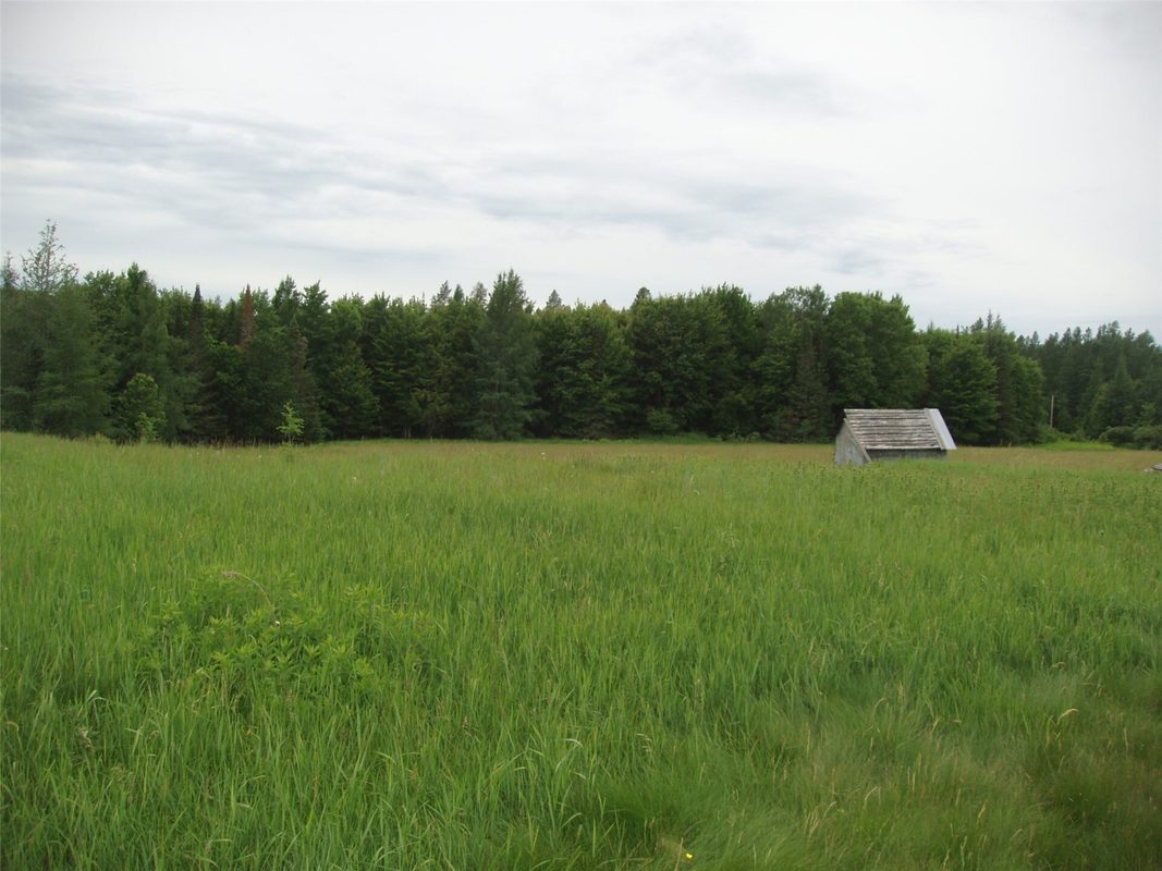 N16798 Bass Lake Road, Butternut WI 54514 - Residential house for sale - MLS #1603059 - image34