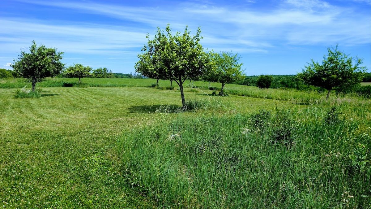 407 23rd Street, Chetek WI 54728 - Residential house for sale - MLS #1602559 - image58