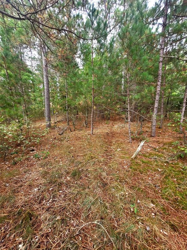 0 Blueberry Rd, Gordon WI 54838 - Land house for sale - MLS #1604990 - image24