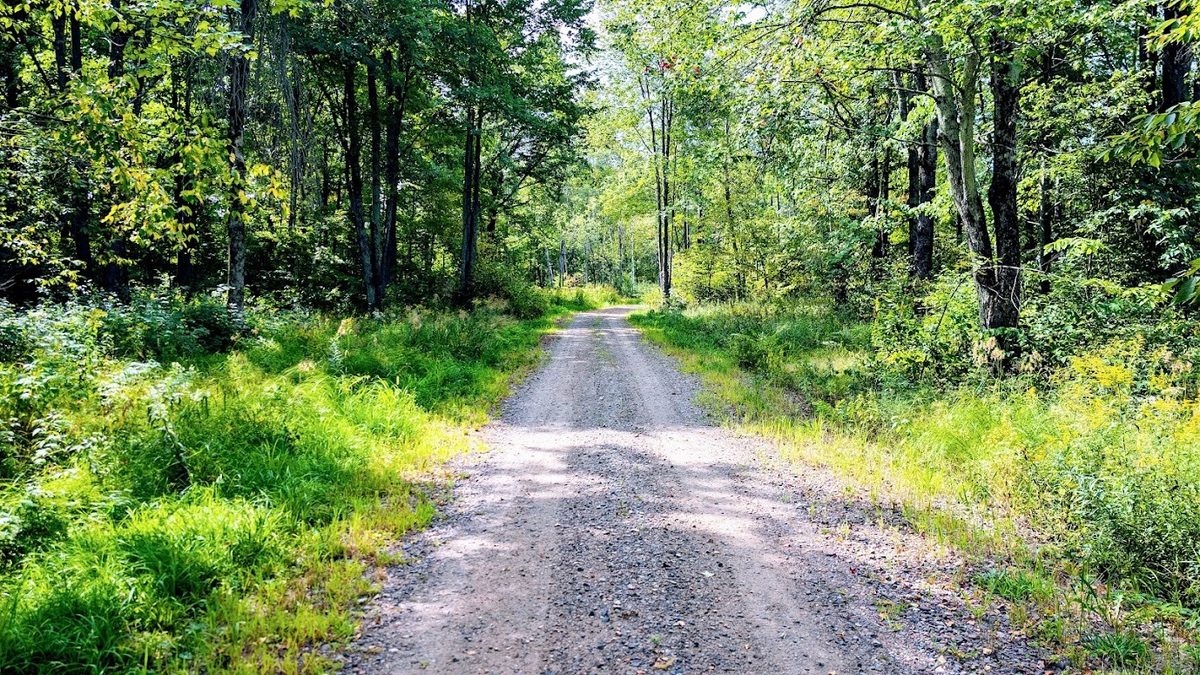 W8185 County Road J, Ladysmith WI 54848 - Land house for sale - MLS #1604406 - image16