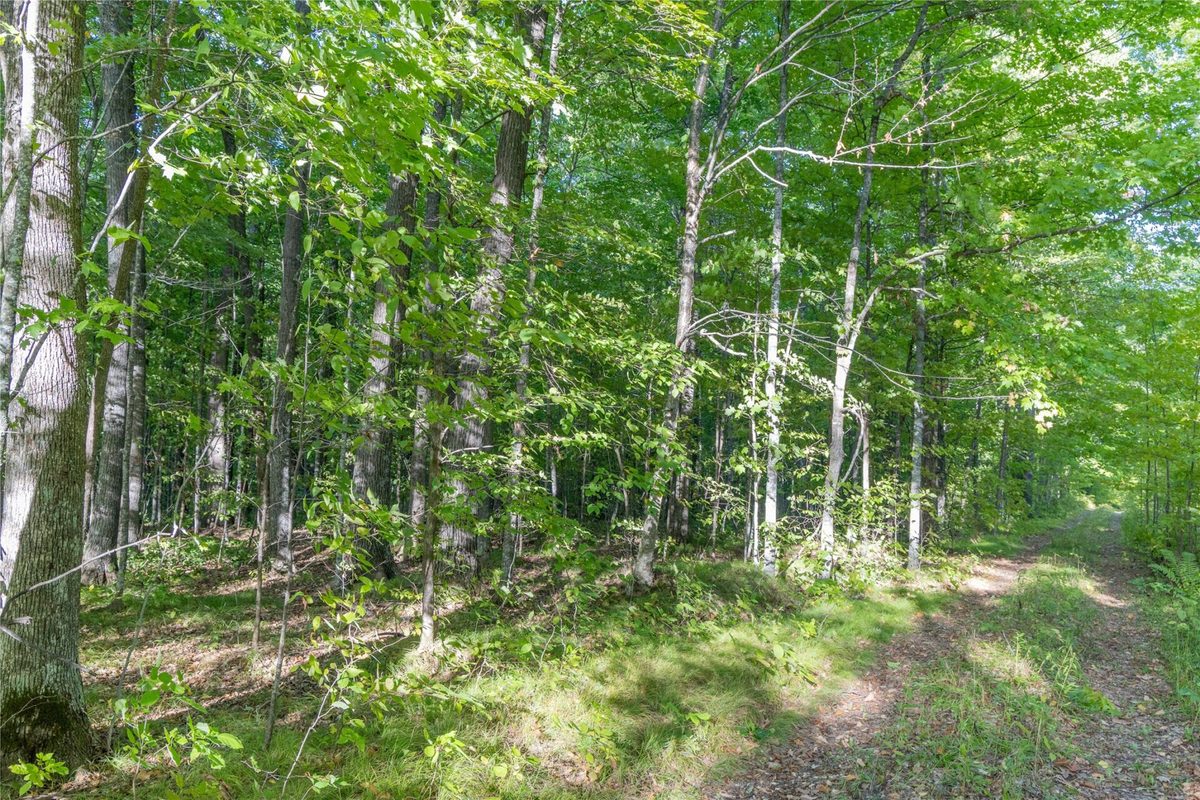 38.2 Acres Vierck Lane, Exeland WI 54835 - Land house for sale - MLS #1605286 - image14