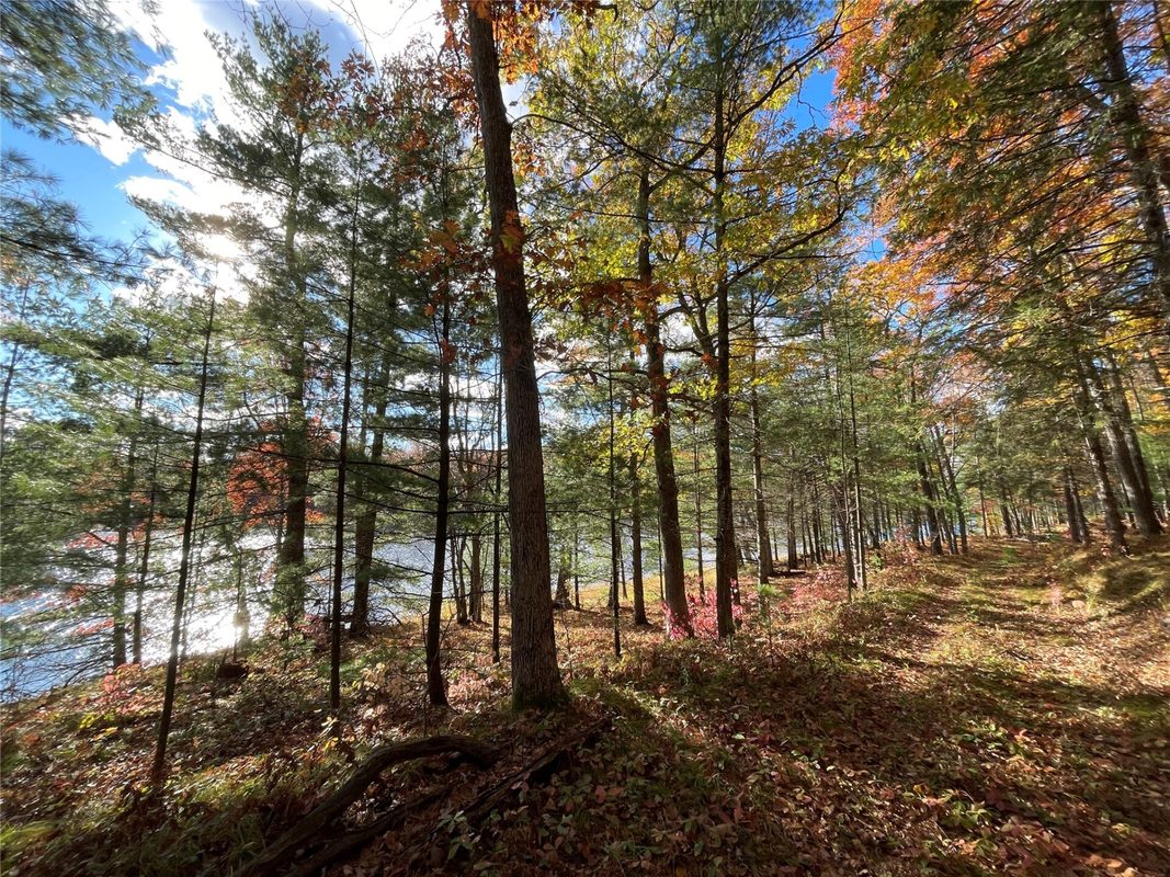 7 W Tanager Trail, Hayward, WI — photo 12