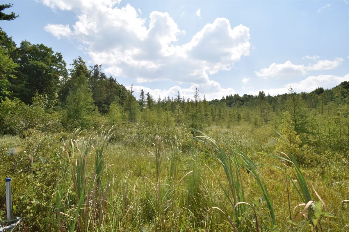 4646 Whitetail Path, Webster WI 54893 - Land house for sale - MLS #1604469 - image27